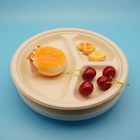 Assiettes en papier de bagasse biodégradables de 9 pouces écologiques et jetables vertes pour fast-food, compostables pour les fêtes et les restaurants