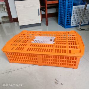 Gabbia di Trasporto in Plastica per Quaglie e Roditori, Cassa per Trasferimento Pollame PH-281 - Product Image 3