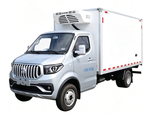 El Fabricante Vende Camiones Refrigerados de Tamaño Mini, que son Camiones Refrigerados Pequeños Utilizados para el Transporte de Productos Congelados - Product Image 1
