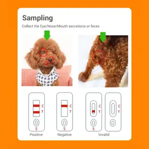 Customized Professional veterinaria a pet care canine heartworm test kit Antigen Rapid Pet test for pet test diagnostic use