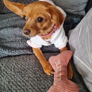 YY kemik köpek oyuncak Pet noel interaktif köpek oyuncak dayanıklı köpek oyuncaklar Pet aksesuarları - Product Image 6