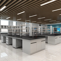 Banc de laboratoire universitaire tout acier, poste de travail latéral pour l'enseignement et la recherche scientifique en collège, mobilier de laboratoire