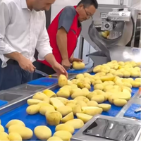 Volledig automatische productielijn voor frites van 304 roestvrij staal, hygiënische lijn voor de verwerking van diepvriesfrites