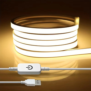 USB Giáng Sinh Dải Ánh Sáng 5V Điện Áp Thấp Linh Hoạt Neon Silicone Cảm Ứng Không Thấm Nước Điều Khiển Thay Đổi Độ Sáng LED Trang Điểm Gương Cạnh Giường Ngủ - Product Image 4