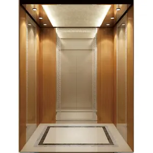 Cina fabbrica professionale ascensore a 3 piani 1050kg ascensore per passeggeri ascensore per edifici ascensore per passeggeri hotel
