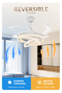 48 Inch Hiện Đại Đèn Chùm Thông Minh Trong Nhà Phòng Ngủ Chiếu Sáng Đèn Quạt Có Thể Thu Vào Từ Xa Dẫn Quạt Trần Với Ánh Sáng Cho Nhà - Product Image 5