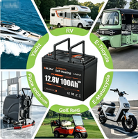 Batterie LiFePO4 Enlzh 12,8V 100AH à décharge profonde avec BMS auto-chauffant pour stockage d'énergie solaire