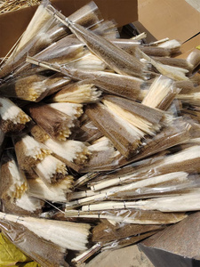 Meilleur vendeur B0142 décor de mariage Boho naturel Beige blanc grand duveteux herbe de pampa sèche conservée fleur séchée herbe de pampa - Product Image 5