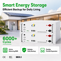 Système de batterie solaire 5,12 kWh 5 kWh 51,2 V 100 Ah LiFePO4 6000 cycles, stockage d'énergie photovoltaïque mural CAN, garantie 5 ans pour la maison