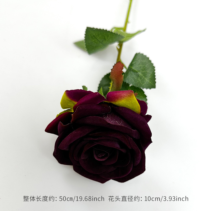 Dark purple