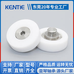 Poulie en PTFE Téflon DR19/C1L3 M Rouleau à vis Roue en plastique pour équipement semi-conducteur Équipement de nettoyage - Product Image 5