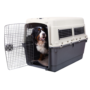 <span class=keywords><strong>Caisse</strong></span> de transport pour animaux de compagnie en PP robuste avec porte métallique, boîte de voyage aérienne pour <span class=keywords><strong>chien</strong></span>, économique et durable - Product Image 1