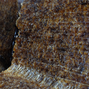 SVR 10 Natural <b>Rubber</b> <b>Blocks</b> Pale Yellow to Light Brown Trusted Manufacturer Vietnam Supplier - Product Image 1