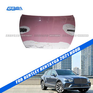 Cubierta de Motor Original Desmontable y Duradera para Bentley Bentayga 2021 36A823029G - Product Image 1