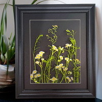 Cadre flottant en verre et bois pour fleurs pressées, créatif, DIY, en MDF, pour échantillons, vente en gros, dropshipping