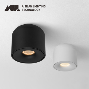 ไฟดาวน์ไลท์ LED แบบติดเพดานทรงกระบอก ยี่ห้อ Aisilan รุ่น Indoor Nordic ปรับความสว่างได้ เหมาะสำหรับทางเดินและห้องนั่งเล่น - Product Image 1