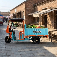 Tricycle électrique SHUYU à chargement lourd 60V avec auvent, tricycle électrique à 3 roues pour adultes et transport de marchandises