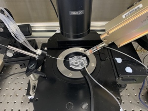 โซลูชันแพลตฟอร์มควบคุมอุณหภูมิ TP-20 อุปกรณ์รักษาอุณหภูมิ - Product Image 6