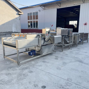 เครื่องล้างมันฝรั่งกระเทียมใบเป็นฟองอัตโนมัติเครื่องล้างผลไม้ว่านหางจระเข้ผักอุตสาหกรรม - Product Image 3