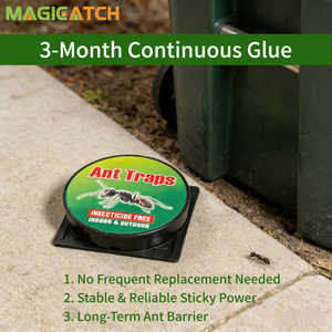 Trampas de pegamento para hormigas Magicatch, suministro directo del fabricante, no tóxicas, seguras, sin pesticidas, para el hogar, la cocina y la despensa. - Product Image 5