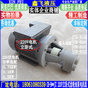 Unidad de Motor de Bomba de Engranajes de 220V, Hierro Fundido, 0.75-1.5KW, Horizontal/Vertical, para Lubricación de Máquinas Herramienta - Product Image 3