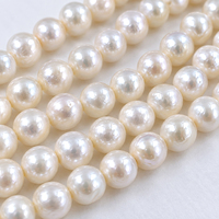 Perles d'eau douce naturelles rondes de 6 à 6,5 mm, qualité AA, lustre brillant, perles cultivées pour bijoux artisanaux, vente en gros
