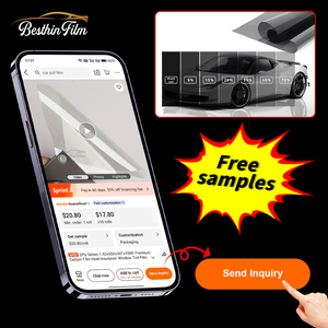 Campione gratuito pellicola tinta per finestra camaleonte <span class=keywords><strong>blu</strong></span> controllo del sole finestra per <span class=keywords><strong>auto</strong></span> per animali domestici pellicola di protezione per la vernice chattami ora per <span class=keywords><strong>auto</strong></span> personalizzata - Product Image 2