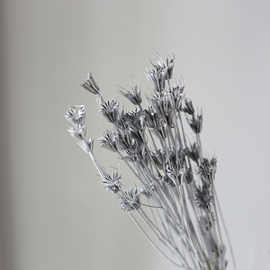 Arrangement de fleurs préservées à prix avantageux, très demandé - Product Image 4