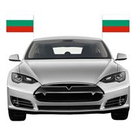 Drapeau de fenêtre en polyester sur mesure 12 x 18, logo de voiture promotionnel de Bulgarie avec tige en plastique pour l'assurance