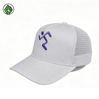 Gorra de Camionero Personalizada de Alta Calidad, de 5 Paneles, de Secado Rápido, Deportiva, Unisex, con Perforaciones, Bordado 3D, para Playa, Pesca y Actividades al Aire Libre
