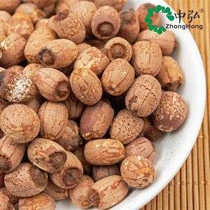 工場卸売 中国産乾燥蓮の実 - 天然品質 最高価格 蓮の実エキス - Product Image 2