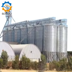 SDROD vente à chaud <span class=keywords><strong>grand</strong></span> joint Vertical de Silo de ciment utilisé réservoir de stockage de cendres volantes convoyeur à vis poudre Silo Type de Machine - Product Image 2