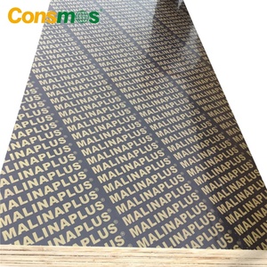 Consmos 1220x2440mm 18mm WBP melamine keo biển ván khuôn ván ép Biz tiêu chuẩn phim phải đối mặt ván ép cho xây dựng - Product Image 5