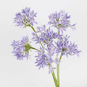 4 Fourchettes Cent Zi Lian <span class=keywords><strong>Fleurs</strong></span> artificielles faites à la main et respectueuses de l'environnement pour les décorations de fêtes de mariage Modèles divers - Product Image 3