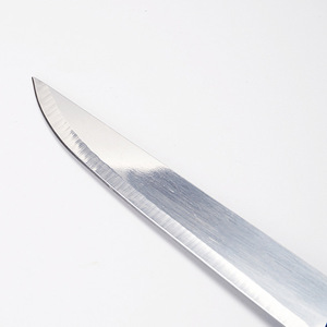 Stainless Steel Fruit Knife 17.5 Cm Blade Multi Purpose Kitchen Knife For Cutting Fruits And Vegetables - Product Image 1