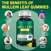 SWOOT Custom Mullein Gummies 3000mg Quercetin Bromelain Rasa Blueberry 200g (60 Buah) untuk Mendukung Kekebalan Tubuh dan Kesehatan Pencernaan