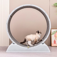 Tapis roulant pour chat, équipement de fitness pour chien