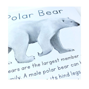 Tùy chỉnh Trắng cardstock đầy đủ màu sắc Bộ nhớ nhận thức trẻ em giáo dục THẺ FLASH in ấn - Product Image 3