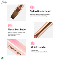 Ensemble de pinceaux pour nail art en nylon à manche métallique dégradé rose, 2 en 1, pinceau liner et pinceau plat ovale pour gel de construction