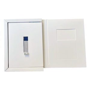 MS Vis 2024 Professional USB Box para Activación Global en Línea de OS con Soporte 24/7 y Garantía de 6 Meses en Stock - Product Image 2