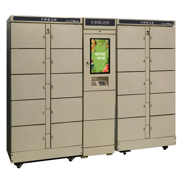 High Quality CE Certified Smart Refrigerated/Chilled Parcel/Frozen Locker with Electronic Lock Assembled Structure