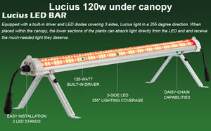 Lampe de culture LED 120W 4FT PPE 2.9μmol/J pour horticulture, légumes, feuilles vertes et herbes aromatiques - Product Image 5