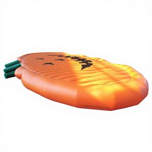 Winsun Château Gonflable Citrouille d'Halloween et Coussin de Saut en PVC Ignifuge et Imperméable, Installation Facile - Product Image 1