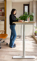 Bureau de direction en acier inoxydable industriel, design moderne, extensible, convertible, avec option de fixation murale pour hôtel, maison ou bureau