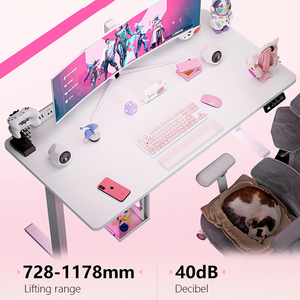 Hot Bán Động Cơ Kép Kích Thước Tùy Chỉnh Tinh Thần Bàn Khung Chiều Cao Có Thể Điều Chỉnh Đứng Điều Khiển Điện Bảng Đứng Bàn - Product Image 6