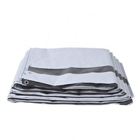 Bâche extérieure durable et imperméable sur mesure, rouleau de bâche PE bleue, prix