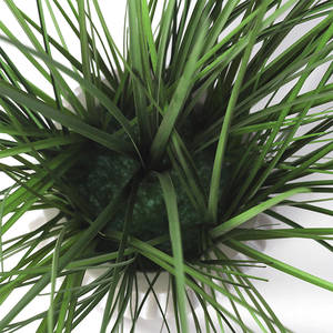 Conception de jardin d'oignon reed herbe bonsaï pour la <span class=keywords><strong>maison</strong></span> artificielle <span class=keywords><strong>plante</strong></span> <span class=keywords><strong>deco</strong></span> - Product Image 5