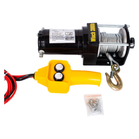 Mini treuil électrique pour voiture avec capacité de 6000lbs/12000lbs, 12v/24v, câble en acier, palan pour automobiles