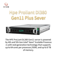 Serveur en rack HPE DL380 Gen11 Plus Proliant avec processeur Xeon, mémoire DDR4 32/64 Go, disque dur 1 To, garantie 1 an