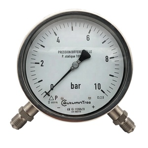 AISI 304 SS CL2.5 ไฮดรอลิกสูบลม Differential <span class=keywords><strong>Pressure</strong></span> - Product Image 4